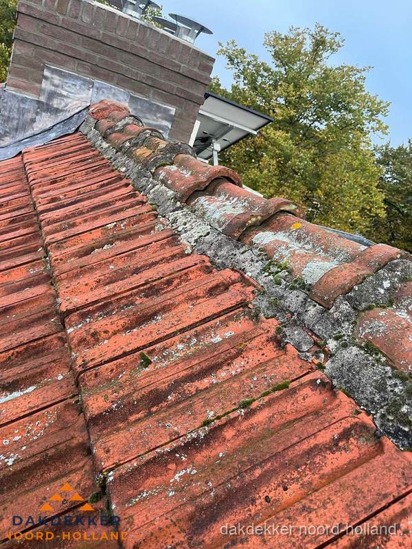 Verweerd hellend dak met mosgroei op nokvorst in Noord-Holland