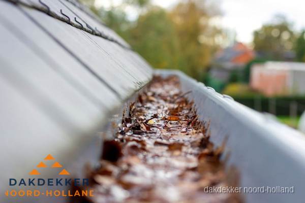 Verstopte dakgoot met bladeren schoonmaken in Noord-Holland