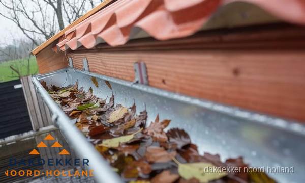 Dakgoot vol bladeren die gereinigd moet worden in Noord-Holland