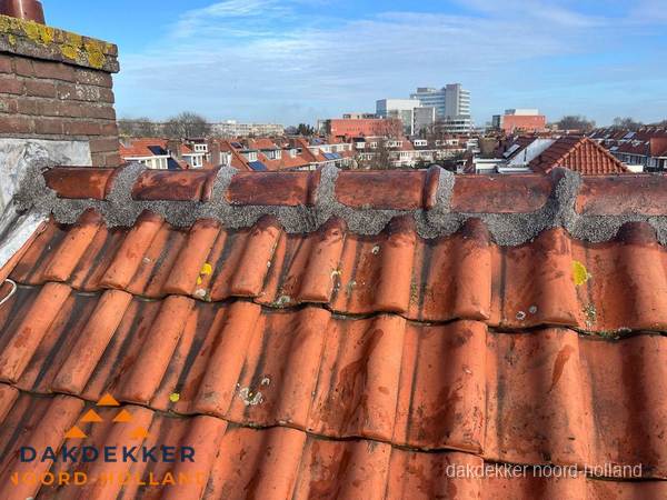 Pannendak met nokvorst en schoorsteen, dakrenovatie in Noord-Holland